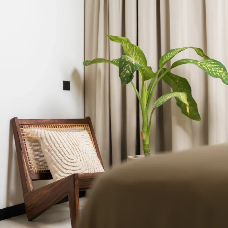 casa-colette-tulum-real-estate-homes-for-sale (19)