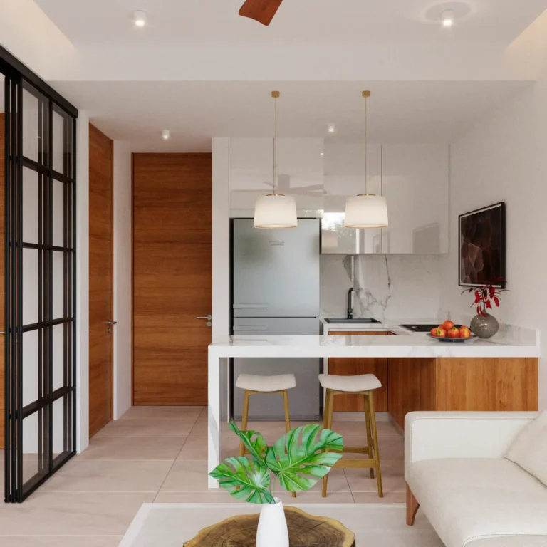 elysium-real-estate-playa-del-carmen-homes-for-sale (6)