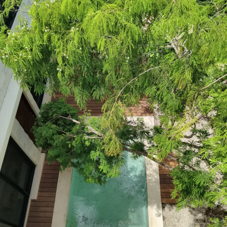 poc-ta-poc-tulum-real-estate-homes-for-sale-tulum-realtor (43)