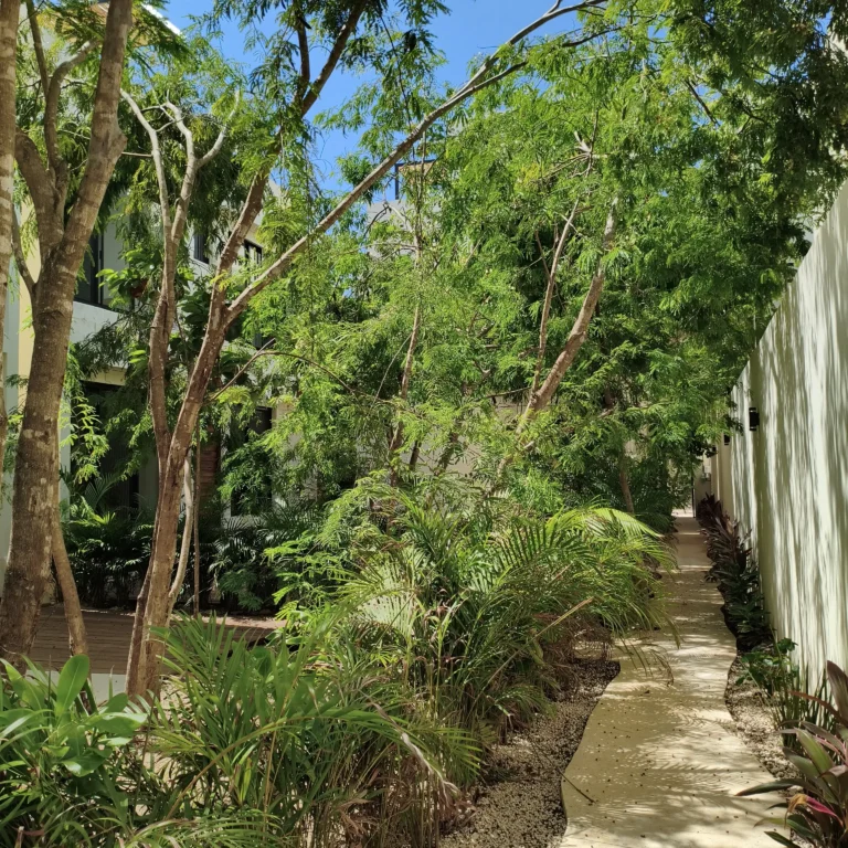 poc-ta-poc-tulum-real-estate-homes-for-sale-tulum-realtor (45)