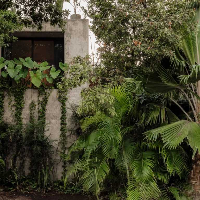 real-estate-tulum-homes-for-sale-tulum-realtor-tulum-the-agency-tulum (22)